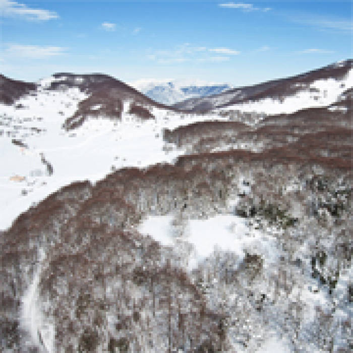 Il Bosco di Sant'Antonio a Pescocostanzo (L'Aquila) nel Parco Nazionale della Majella