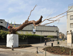 GAM di Torino - Fondazione Torino Musei Commissione Fondazione De Fornaris a Giuseppe Penone per il 150°anniversario dell'Unità d'Italia