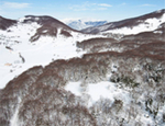 Il Bosco di Sant'Antonio a Pescocostanzo (L'Aquila) nel Parco Nazionale della Majella