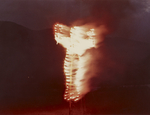 Ana Mendieta